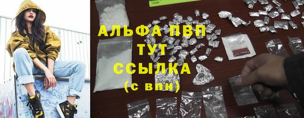 спайс Аркадак